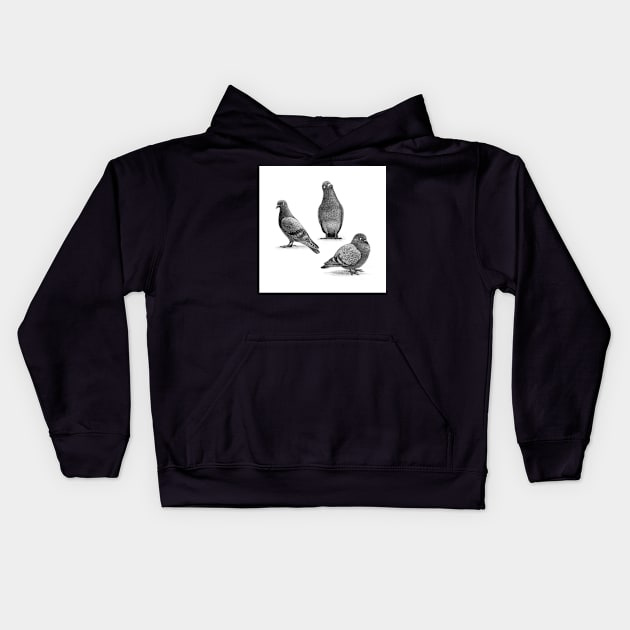 Three Pigeons Kids Hoodie by Terry Fan